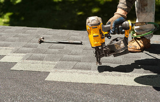 Best Roof Gutter Cleaning  in Appalachia, VA