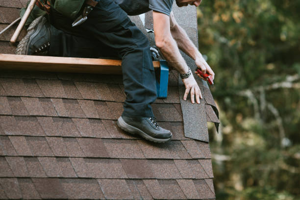 Best Roof Gutter Cleaning  in Appalachia, VA